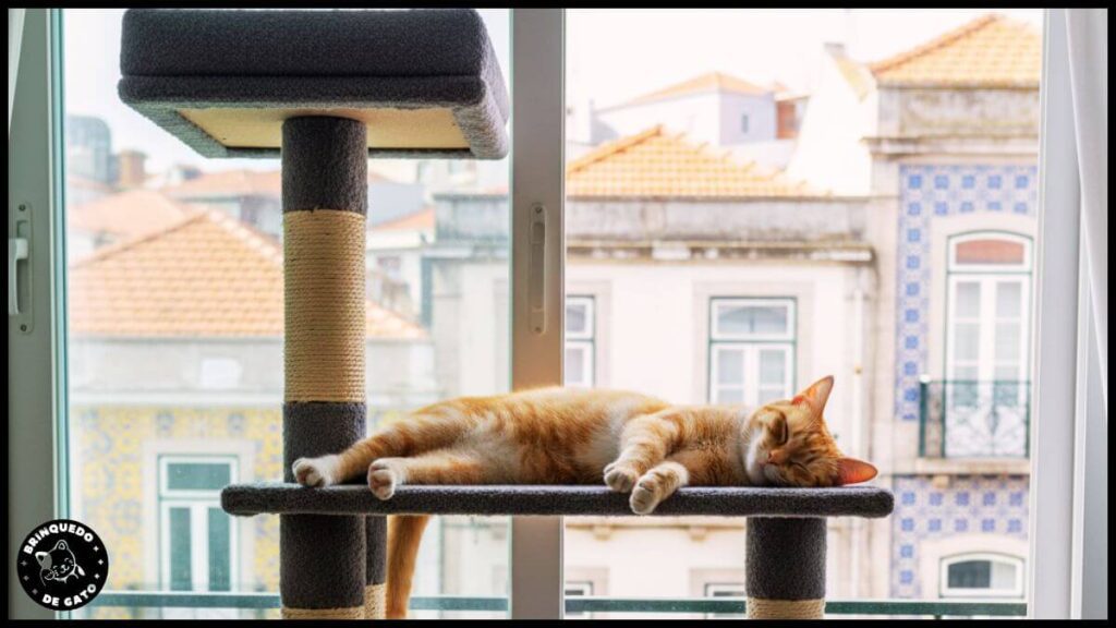 Brinquedo de Gato 21 1 1