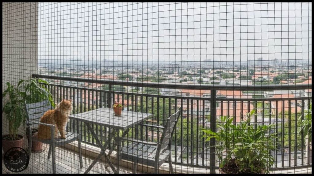 Brinquedo de Gato 10 1 1