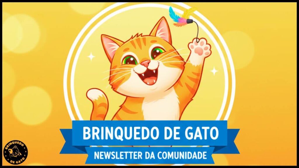 Brinquedo de Gato 10