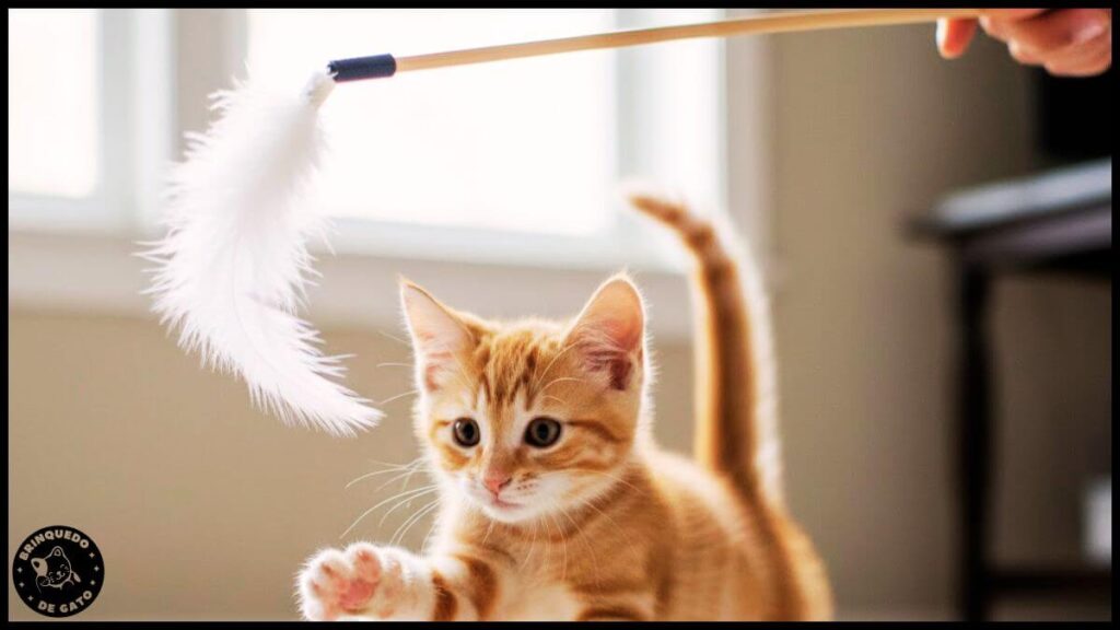 Brinquedo para Filhotes 2