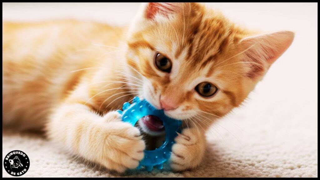 Brinquedo para Filhotes 3