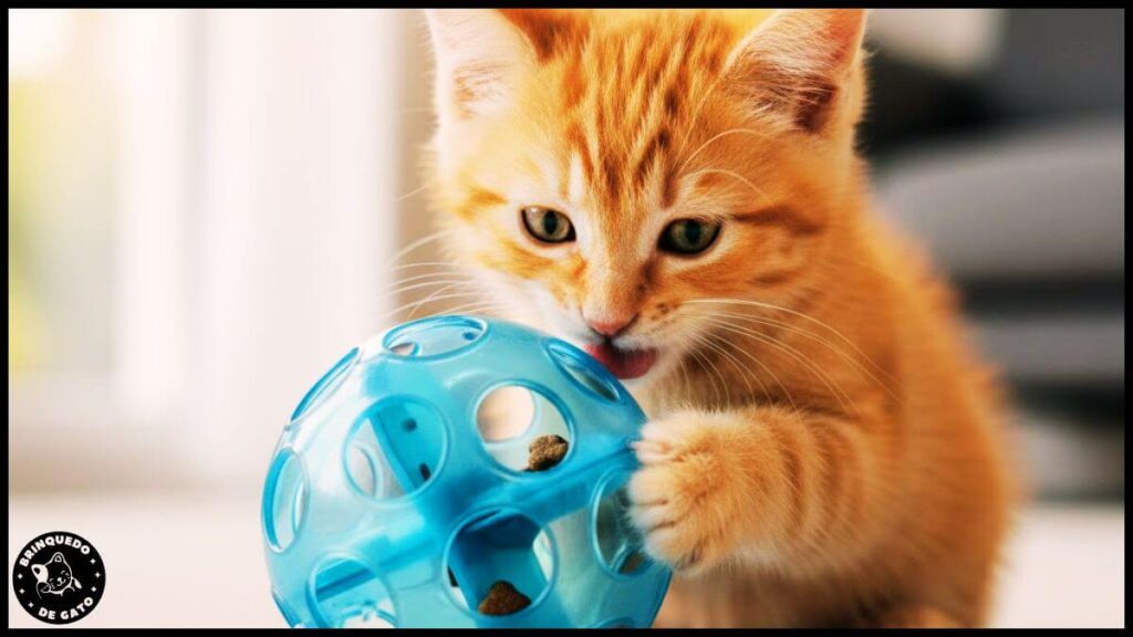 Brinquedo para Filhotes 5