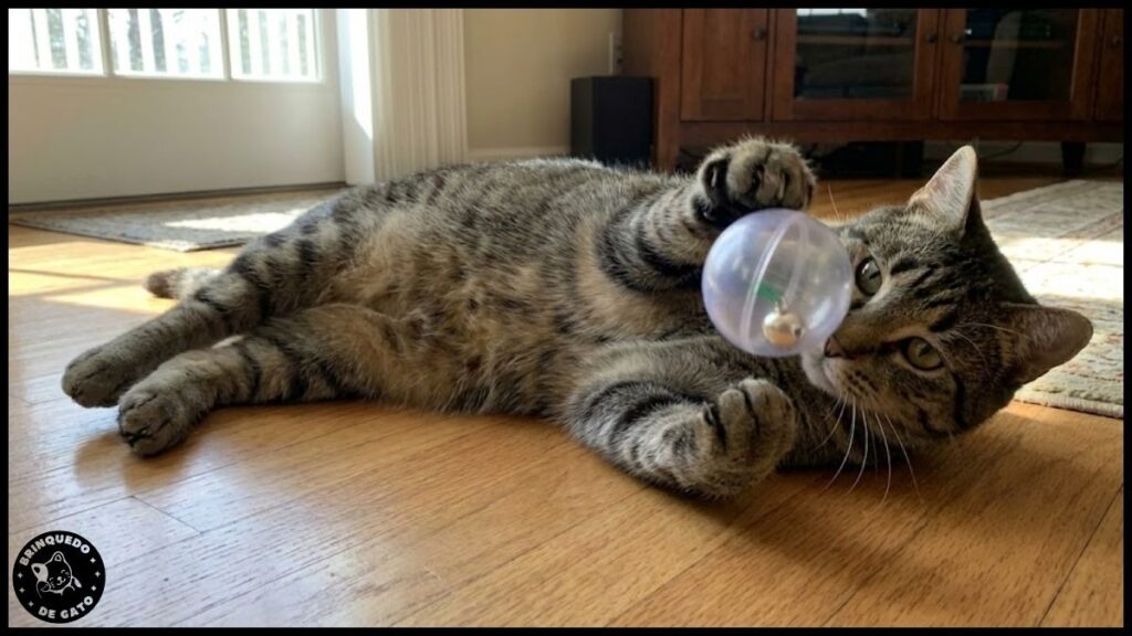 Brinquedos de Pena vs. Bolinhas 4