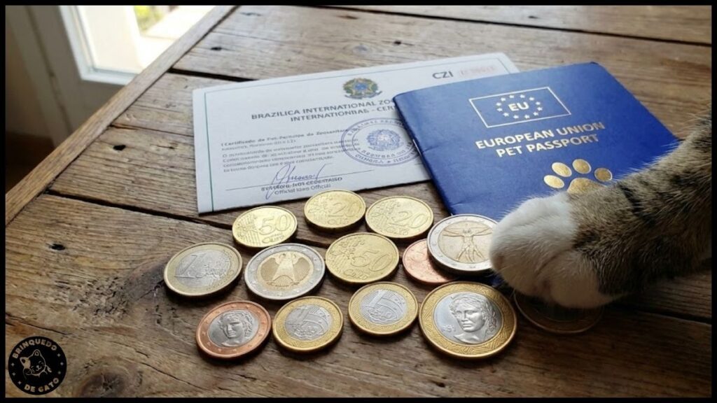 Seguro de saude para pets 6