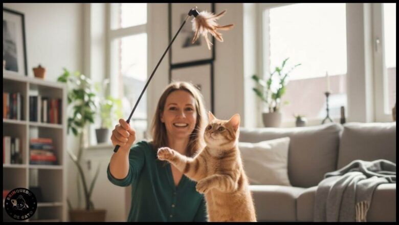 Sessoes diarias de brincadeira 1