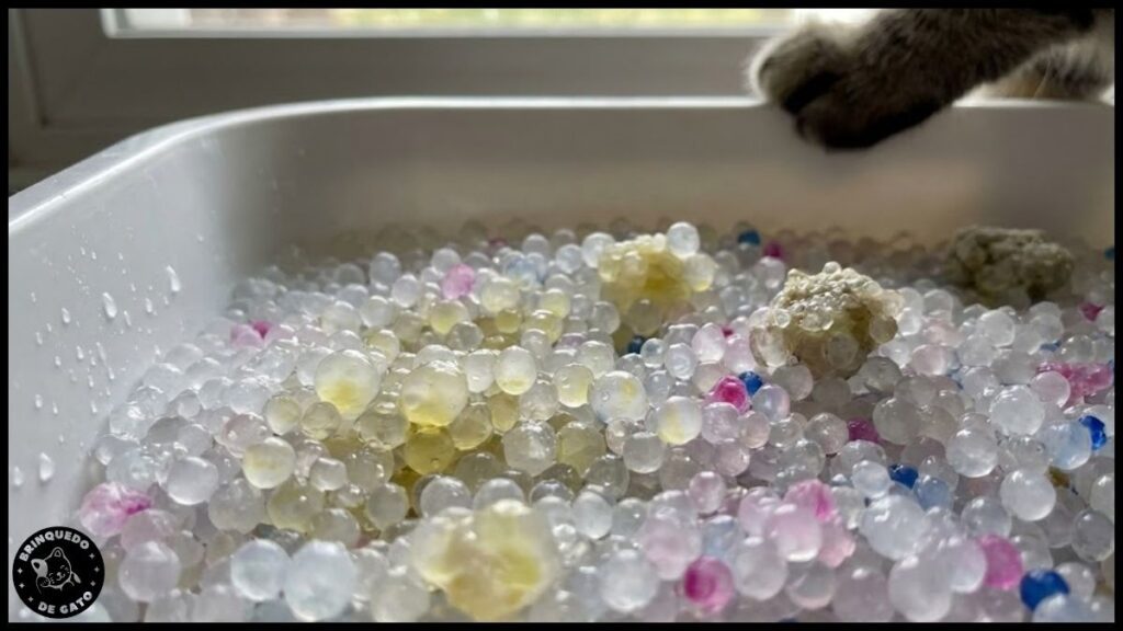 areia para gatos 6