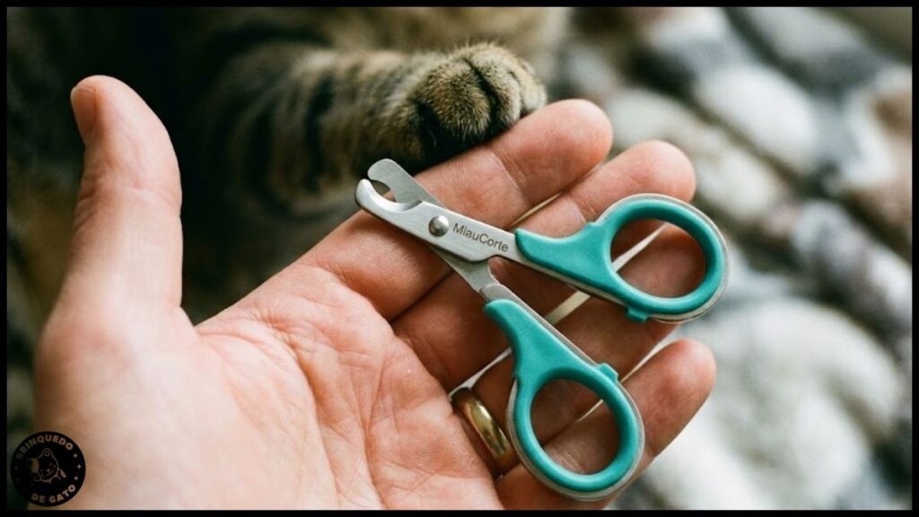 como redirecionar comportamento de arranhar do gato 8