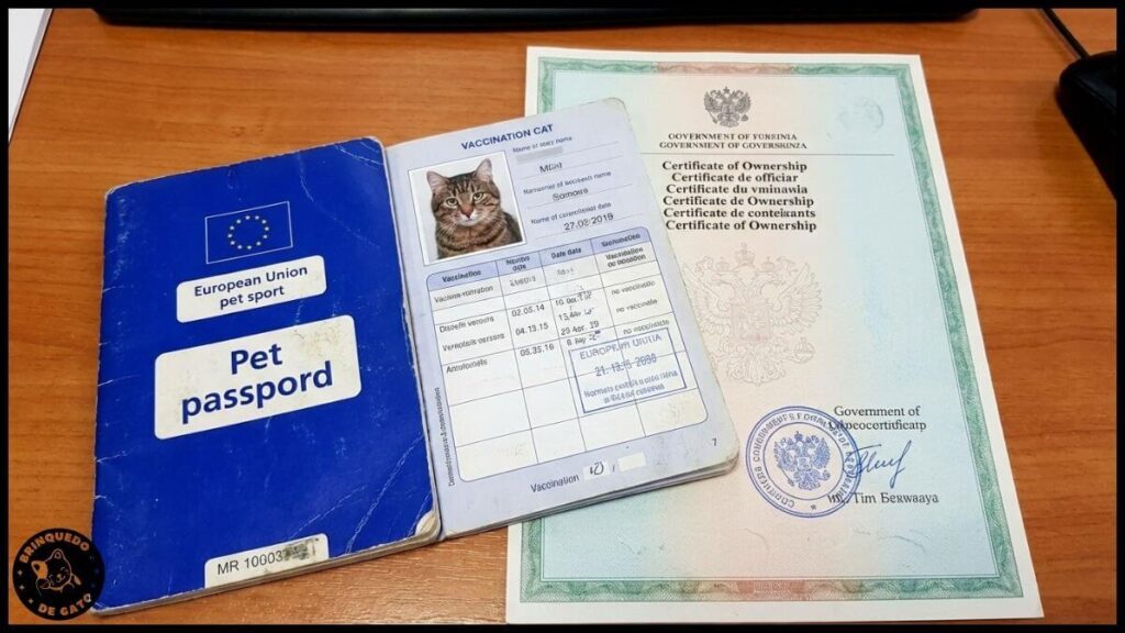 Alojamento Local Pet Friendly 2