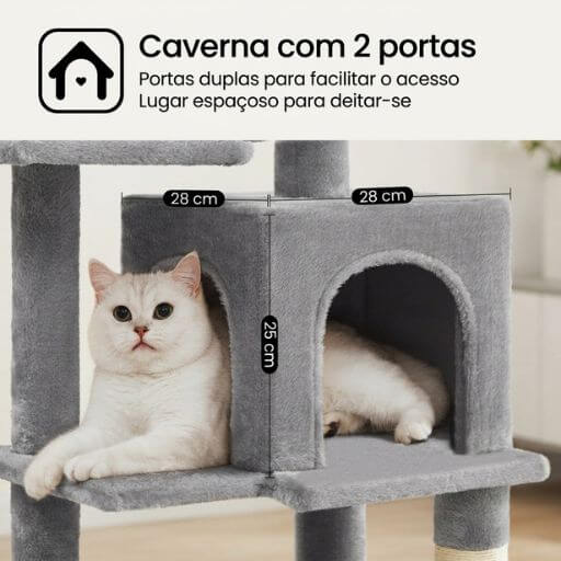 Gato branco a descansar dentro da caverna espaçosa de duas portas da árvore para gatos.