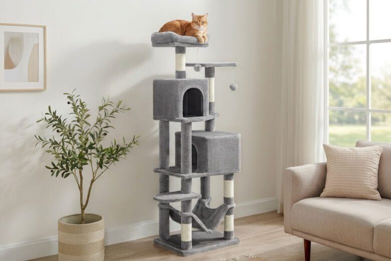 Gato amarelo a descansar no topo de uma árvore para gatos moderna e luxuosa numa sala de apartamento iluminada.