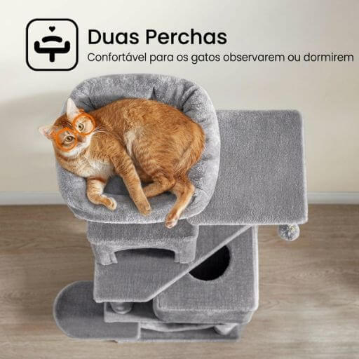 Gato deitado confortavelmente na percha superior acolchoada da árvore para gatos