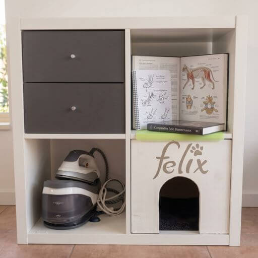 Casinha de gato de tecido no canto de uma sala iluminada, ao lado de livros abertos sobre biologia e anatomia animal.
