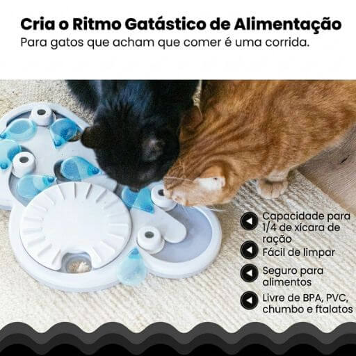 Dois gatos se alimentando no ritmo correto em comedouro lento, com lista de benefícios em português.
