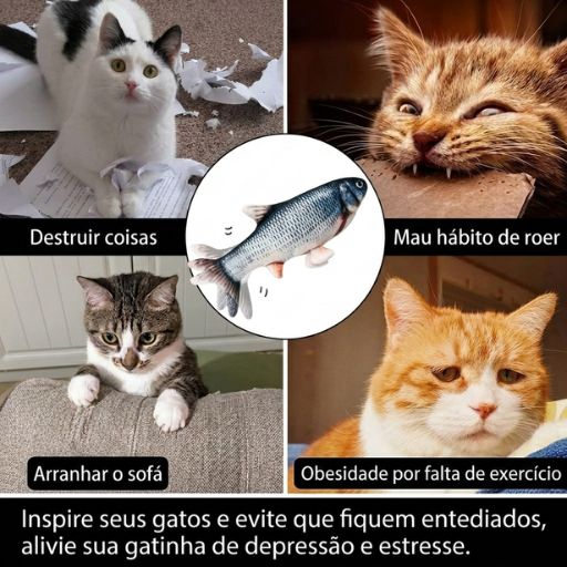Montagem fotográfica mostrando gatos com mau hábito de roer, a destruir papéis, a arranhar o sofá e com sinais de obesidade por sedentarismo.