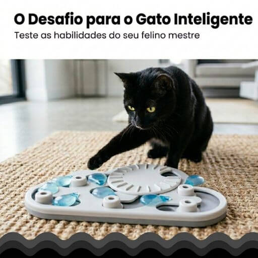 Gato preto testando suas habilidades motoras para liberar petiscos no labirinto de alimentação.