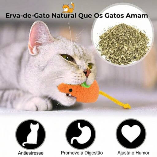 Gato branco e cinza a morder um ratinho de pelúcia laranja recheado com erva do gato orgânica.
