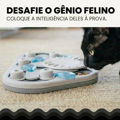 Close de gato preto focado no desafio de inteligência do comedouro interativo da marca Nina Ottosson.