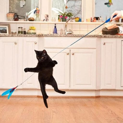 Gato preto saltando alto para capturar a varinha com penas para gatos, ideal para gasto de energia em ambientes pequenos.