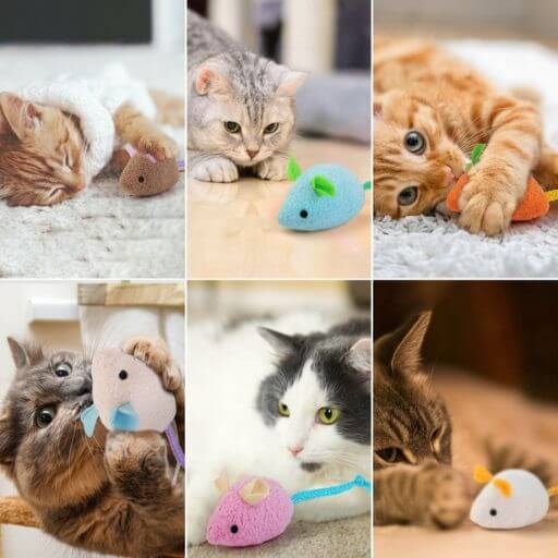 Montagem de quatro gatos diferentes a caçar e a divertirem-se com ratinhos de pelúcia coloridos.