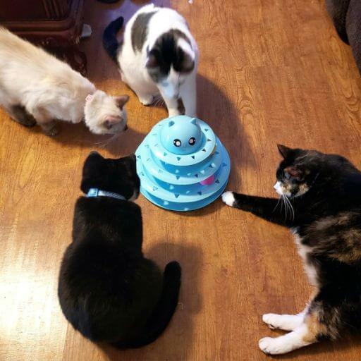 Torre de trilhos para gatos na cor azul, ideal para enriquecimento ambiental no apartamento.