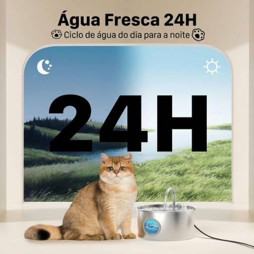 Lindo gato ruivo ao lado do bebedouro de inox, demonstrando a disponibilidade de água fresca e corrente 24 horas por dia.