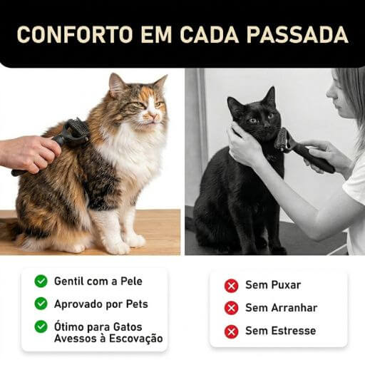 Tutora escovando gatos confortavelmente, provando que a escova removedora de subpelo é ideal para felinos avessos à escovação.
