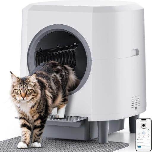 A Melhor Caixa de Areia Automática Para Gatos: Revolucionando a Higiene no Apartamento 11 Gato Maine Coon saindo confortavelmente da sua nova caixa de areia autolimpante num ambiente limpo, com a interface do aplicativo de controlo visível ao lado.