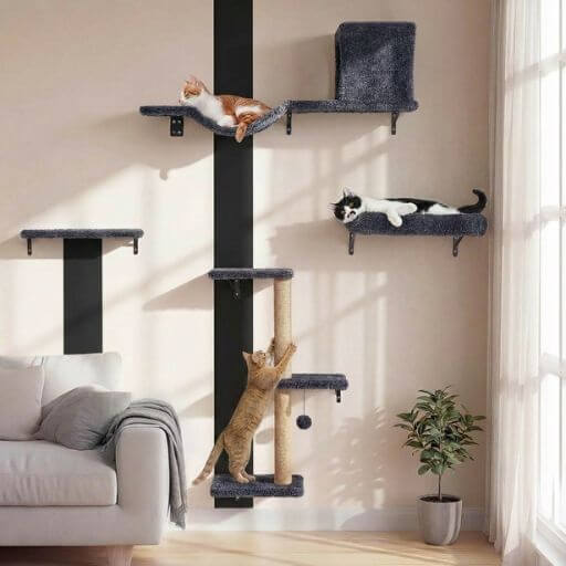 melhores-prateleiras-para-gatos-parede-sala.jpg