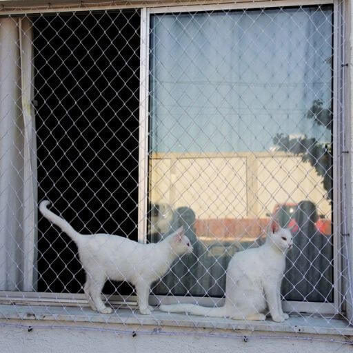 Rede de Proteção Para Gatos: Top 1 (Salva Vidas!) 10 Dois gatos brancos elegantes sentados na janela de correr protegida por uma tela fina e discreta que não atrapalha a estética.