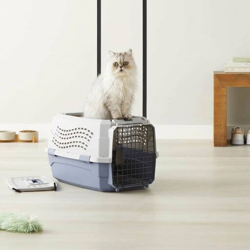 Gato branco felpudo e tranquilo sentado em cima de uma caixa de transporte para felinos num apartamento.