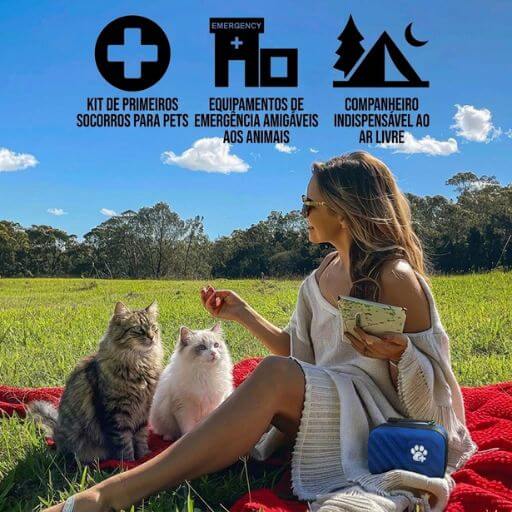 Visão completa e organizada de todos os itens obrigatórios do kit de primeiros socorros para gatos.