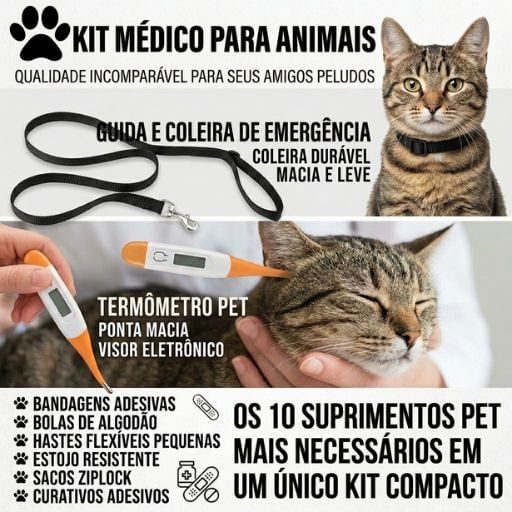 Gato seguro e protegido no apartamento com os itens de primeiros socorros pet ao fundo.