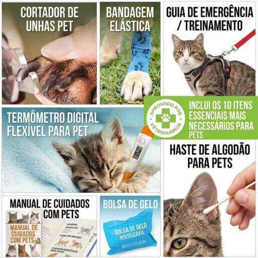 Termômetro digital flexível e pinça removedora de carrapatos do kit de primeiros socorros pet.